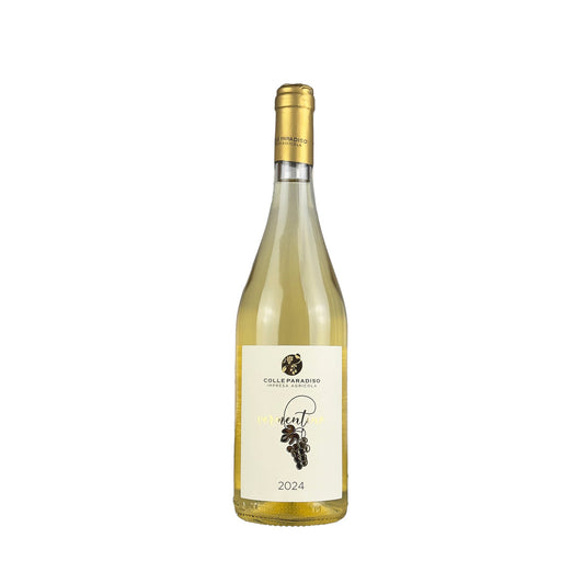 Vermentino - Toscana IGT